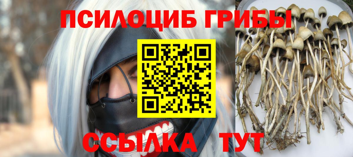 Галлюциногенные грибы мицелий  Галлюциногенные грибы Cubensis  даркнет сайт  Вход с VPN  Кириши 