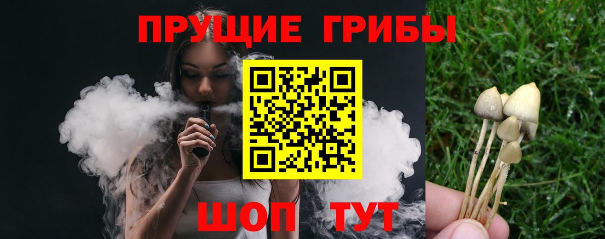Псилоцибиновые грибы прущие грибы Кириши